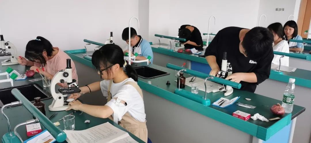 图片 图片