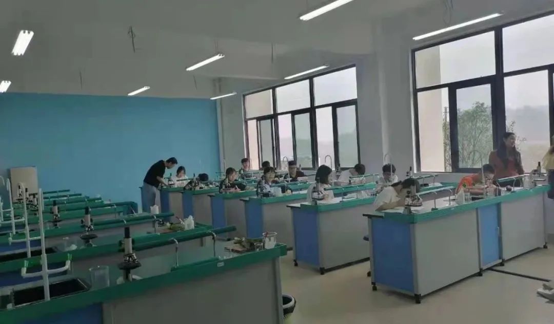 图片 图片
